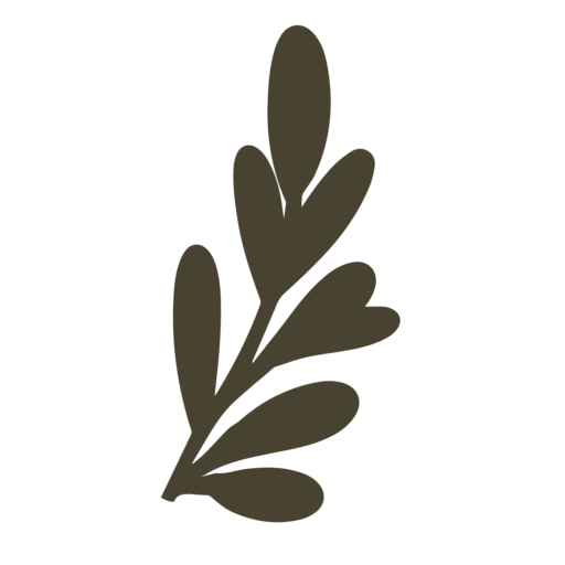 a graphic of a plant branch