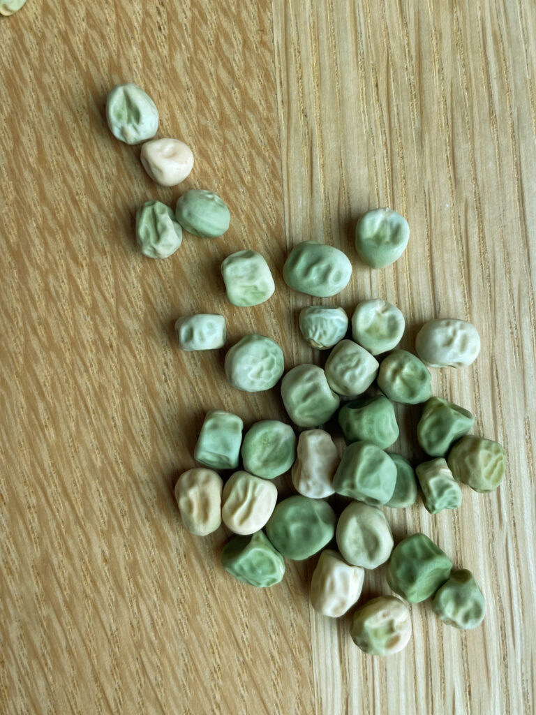 pea seeds on a wood background