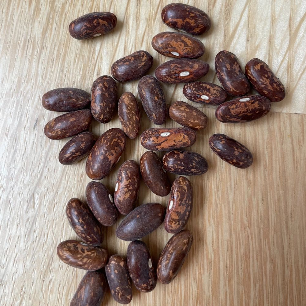 Brown seeds